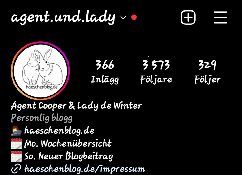 Screenshot vom Instagram-Profil agent.und.lady