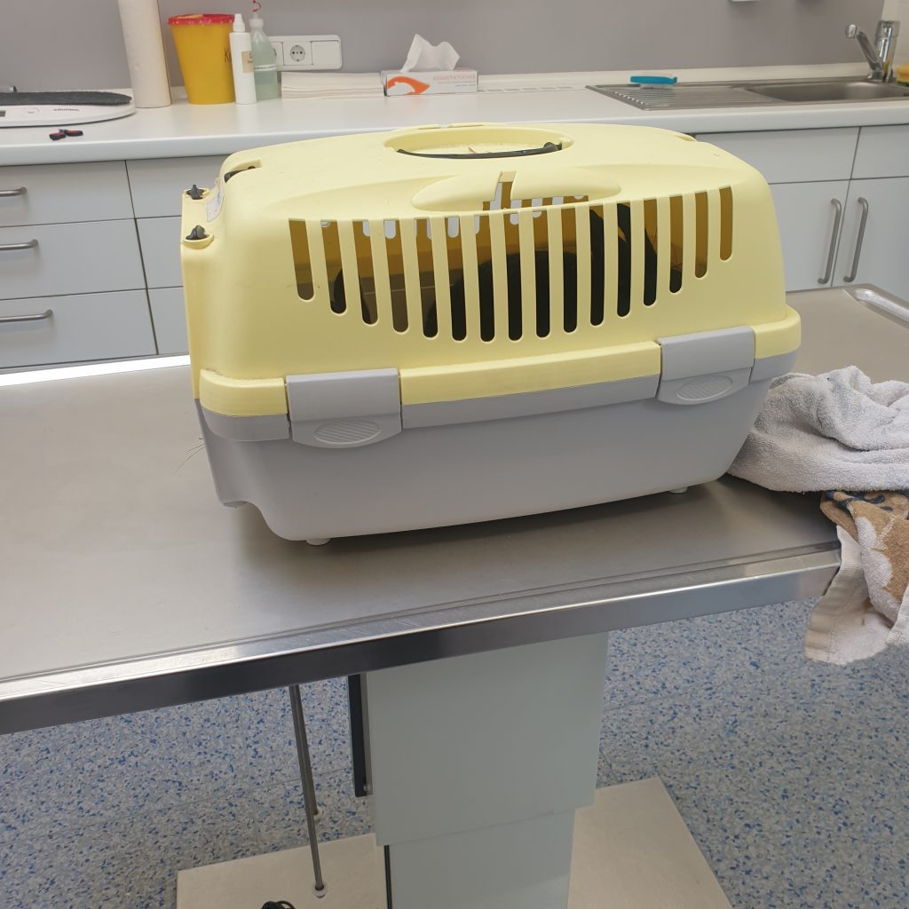 Gelb-hellgraue Transportbox auf Behandlungstisch beim Tierarzt