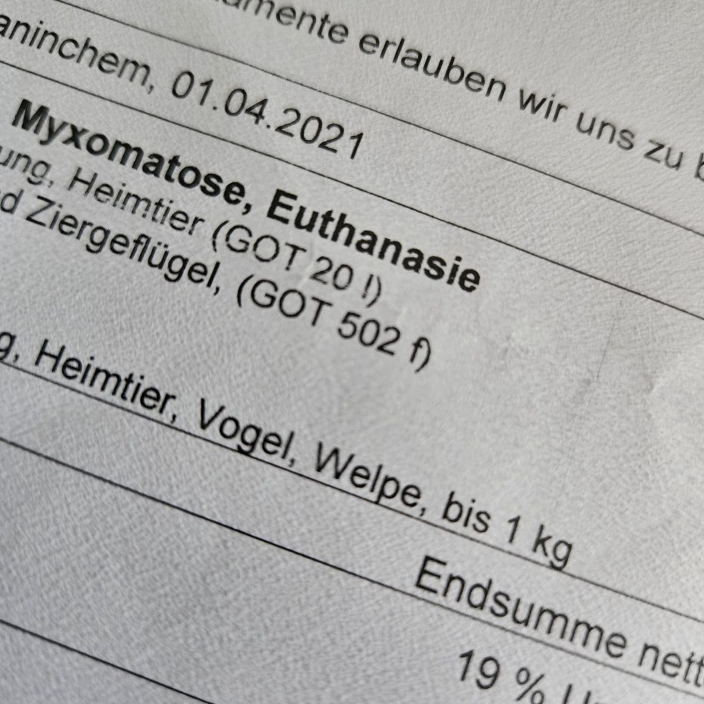 Tierarztrechnung (Detail): "Myxomatose, Euthanasie"
